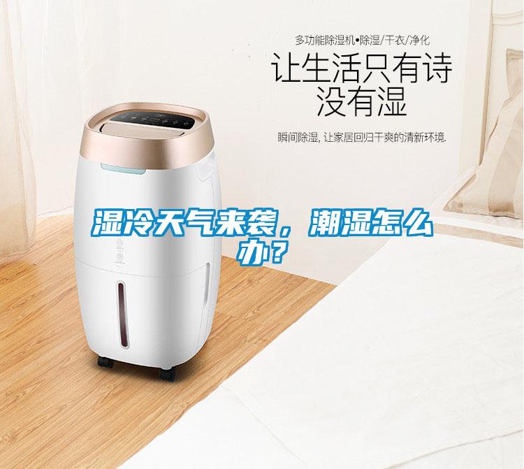 濕冷天氣來(lái)襲，潮濕怎么辦？