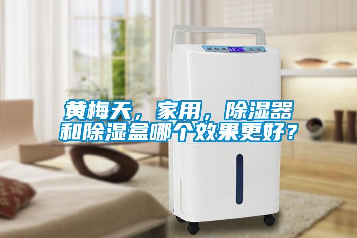 黃梅天，家用，除濕器和除濕盒哪個效果更好？