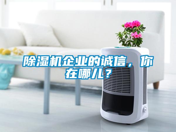 除濕機企業(yè)的誠信，你在哪兒？