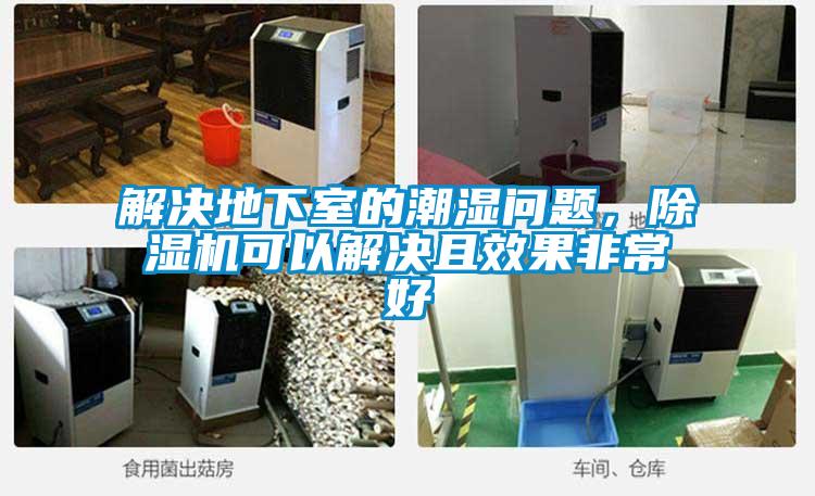 解決地下室的潮濕問題，除濕機可以解決且效果非常好