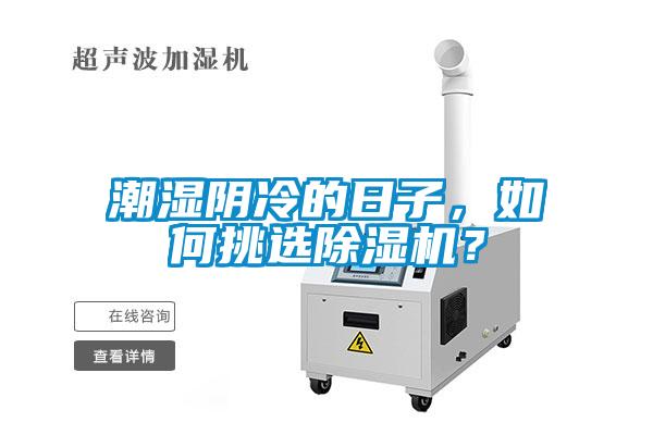 潮濕陰冷的日子，如何挑選除濕機？