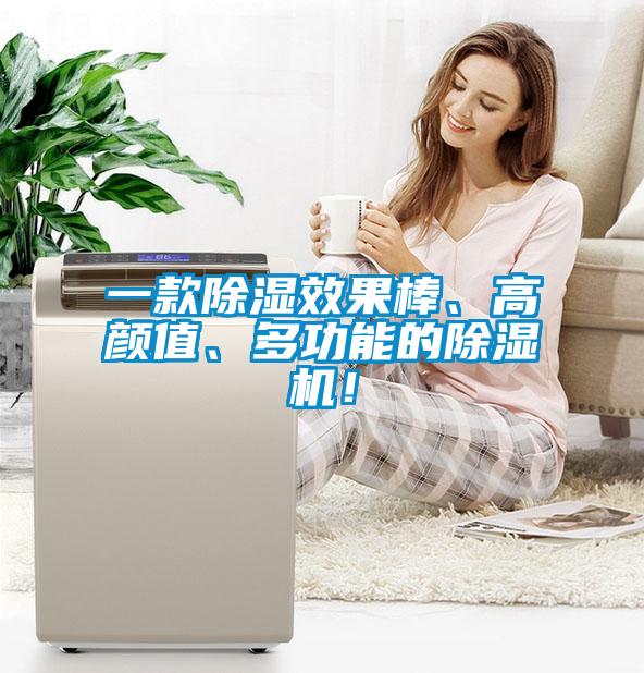 一款除濕效果棒、高顏值、多功能的除濕機！