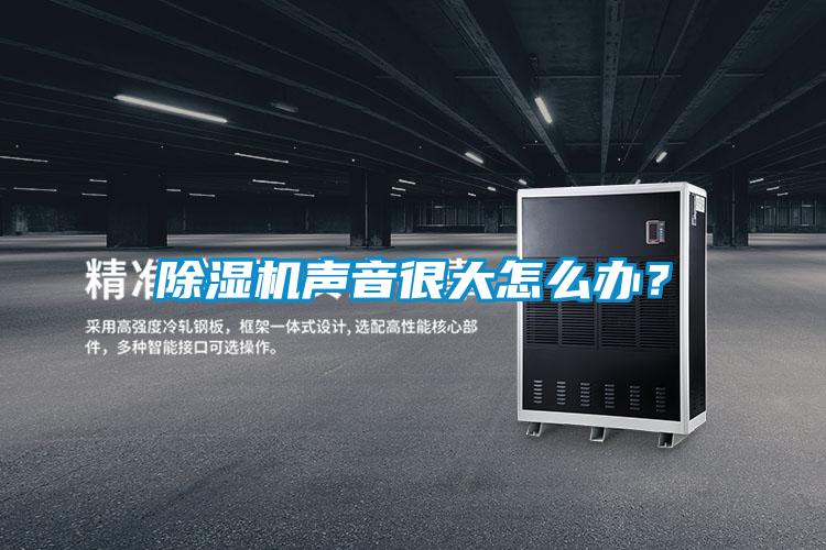 除濕機聲音很大怎么辦？