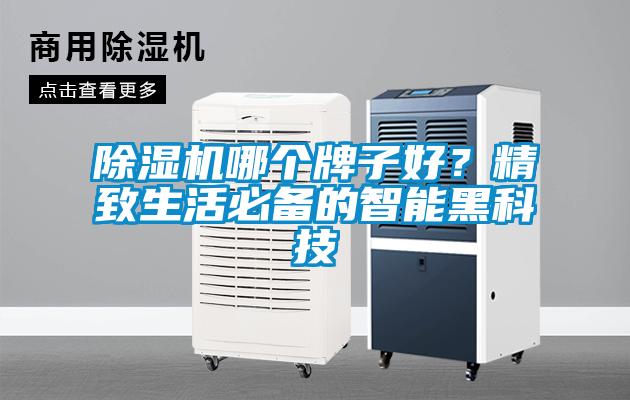 除濕機哪個牌子好？精致生活必備的智能黑科技