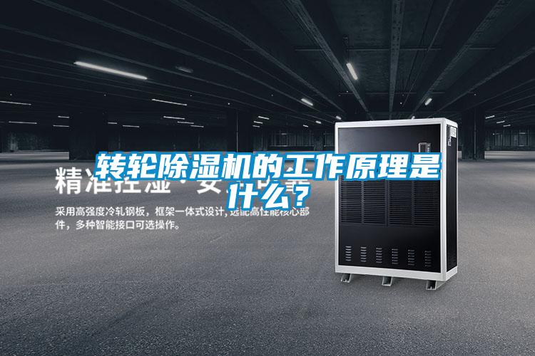 轉輪除濕機的工作原理是什么？
