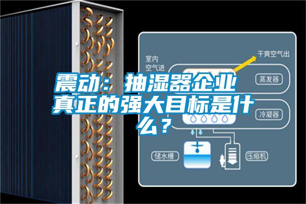 震動：抽濕器企業 真正的強大目標是什么？