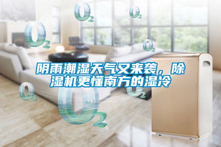 陰雨潮濕天氣又來襲，除濕機更懂南方的濕冷