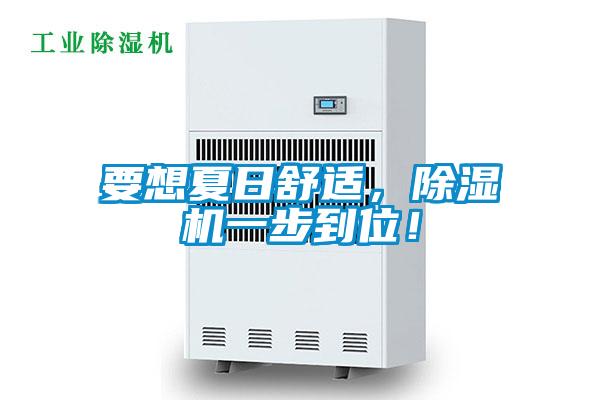 要想夏日舒適，除濕機一步到位！
