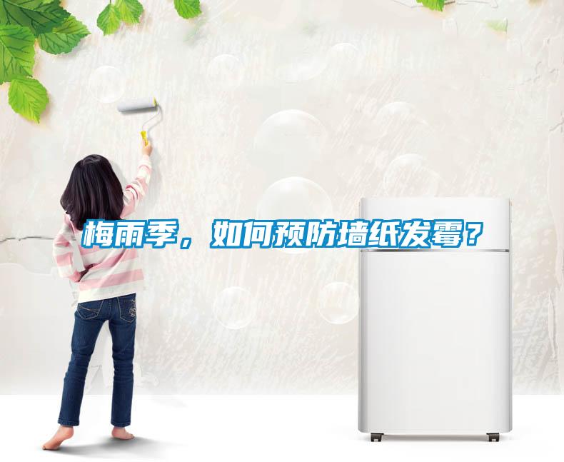 梅雨季，如何預防墻紙發(fā)霉？