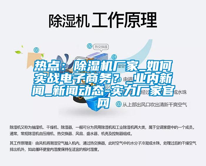熱點：除濕機廠家_如何實戰(zhàn)電子商務？_業(yè)內新聞_新聞動態(tài)-實力廠家官網