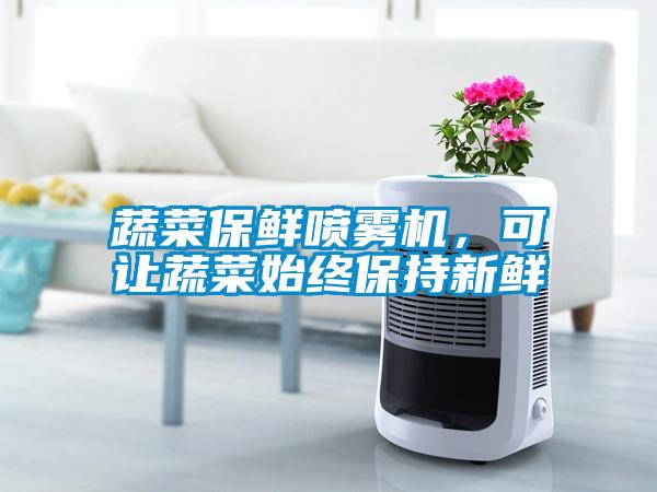 蔬菜保鮮噴霧機，可讓蔬菜始終保持新鮮