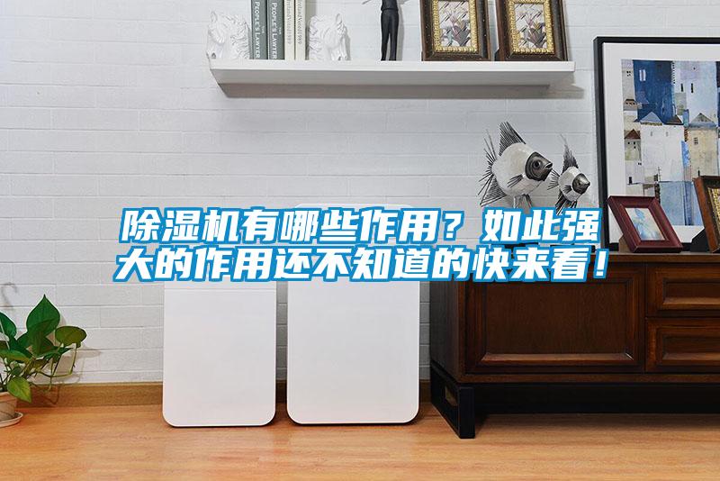 除濕機有哪些作用？如此強大的作用還不知道的快來看！