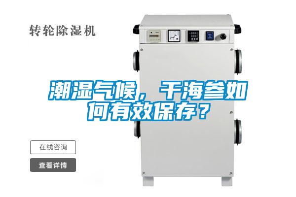 潮濕氣候，干海參如何有效保存？