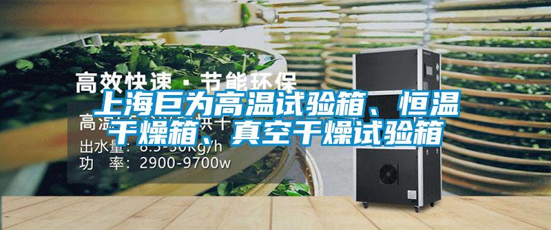 上海巨為高溫試驗箱、恒溫干燥箱、真空干燥試驗箱