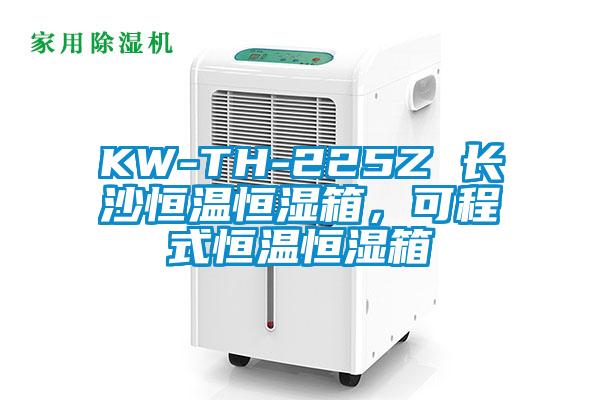 KW-TH-225Z 長沙恒溫恒濕箱，可程式恒溫恒濕箱