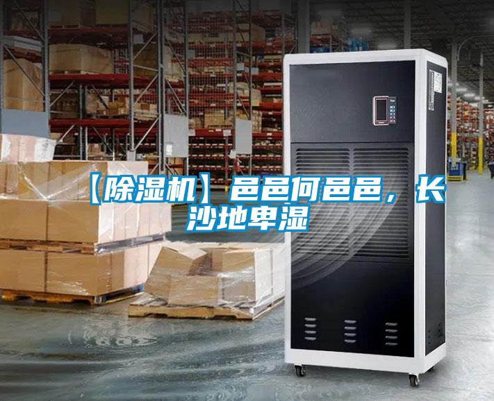 【除濕機】邑邑何邑邑，長沙地卑濕