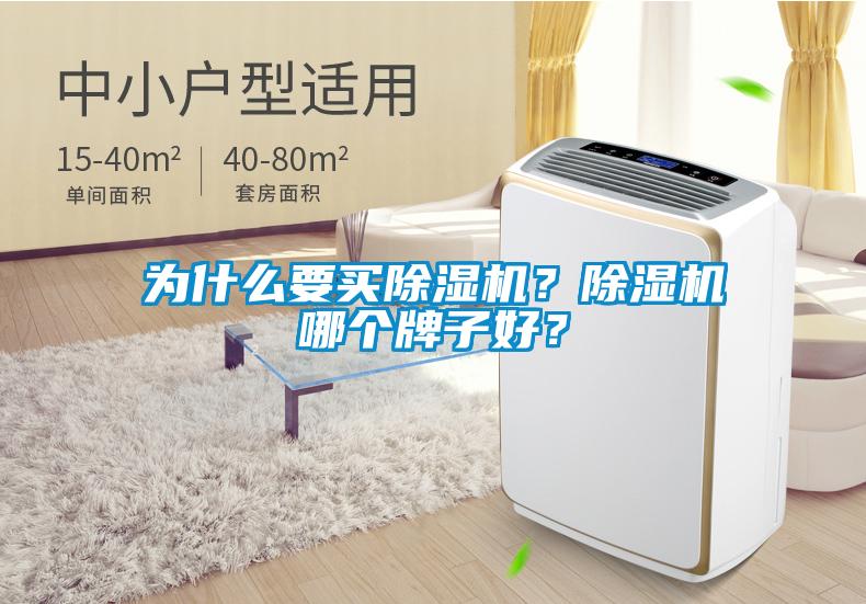 為什么要買除濕機？除濕機哪個牌子好？