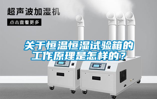 關于恒溫恒濕試驗箱的工作原理是怎樣的？