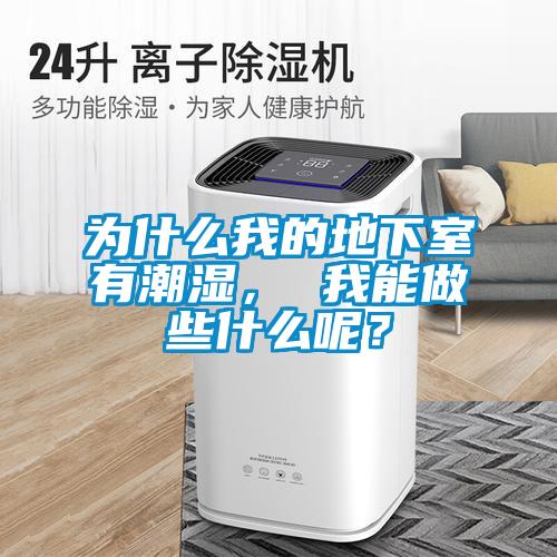 為什么我的地下室有潮濕， 我能做些什么呢？
