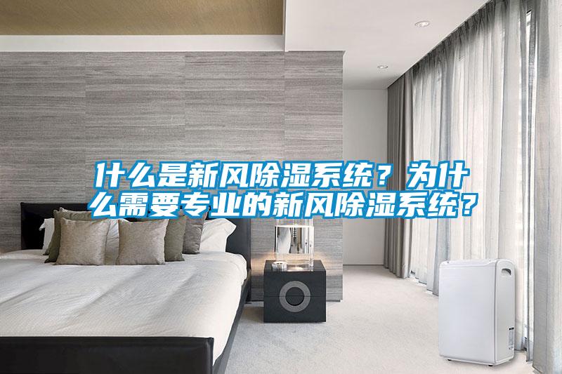 什么是新風(fēng)除濕系統(tǒng)？為什么需要專業(yè)的新風(fēng)除濕系統(tǒng)？