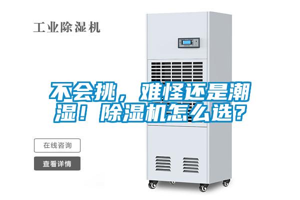 不會挑，難怪還是潮濕！除濕機怎么選？