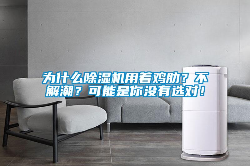 為什么除濕機(jī)用著雞肋？不解潮？可能是你沒(méi)有選對(duì)！