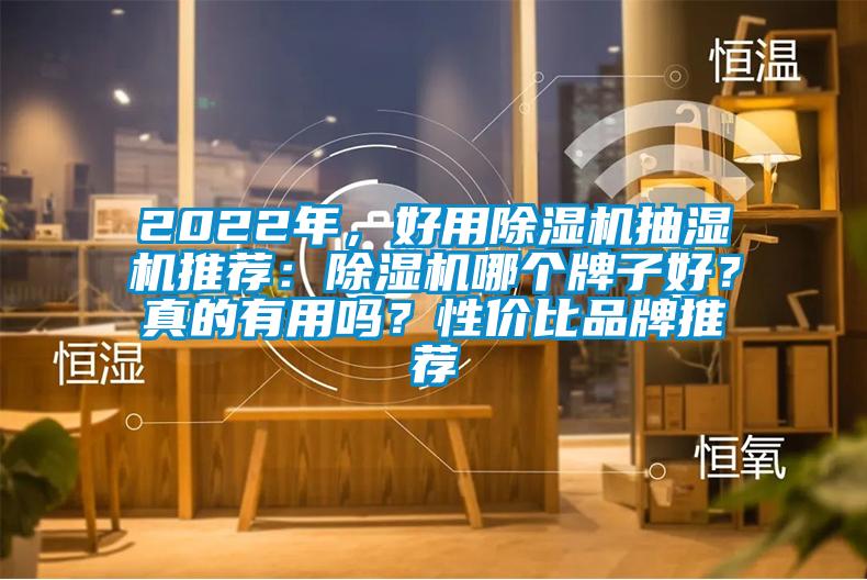 2022年，好用除濕機抽濕機推薦：除濕機哪個牌子好？真的有用嗎？性價比品牌推薦