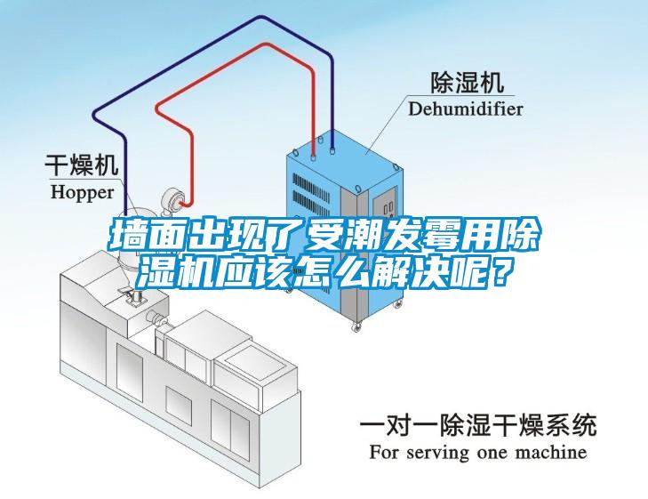 墻面出現了受潮發霉用除濕機應該怎么解決呢？
