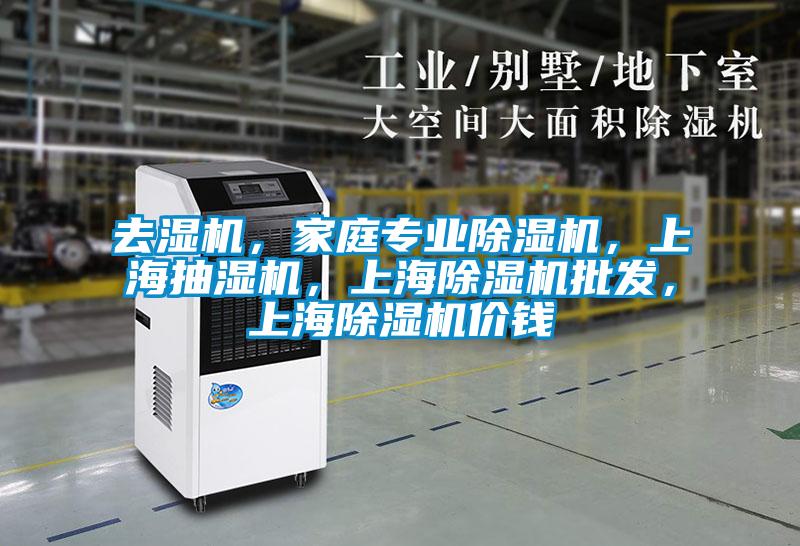 去濕機，家庭專業除濕機，上海抽濕機，上海除濕機批發，上海除濕機價錢