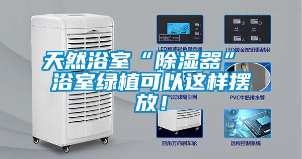天然浴室“除濕器” 浴室綠植可以這樣擺放！