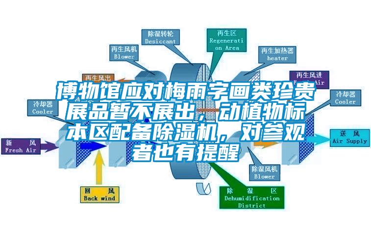 博物館應(yīng)對(duì)梅雨字畫(huà)類珍貴展品暫不展出，動(dòng)植物標(biāo)本區(qū)配備除濕機(jī)，對(duì)參觀者也有提醒