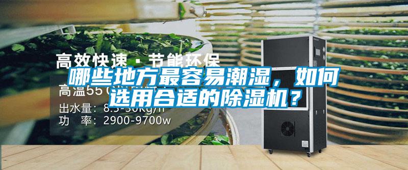 哪些地方最容易潮濕，如何選用合適的除濕機？
