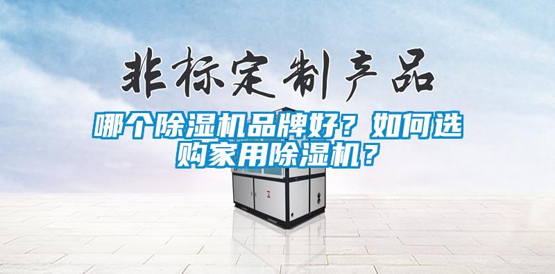 哪個除濕機品牌好？如何選購家用除濕機？