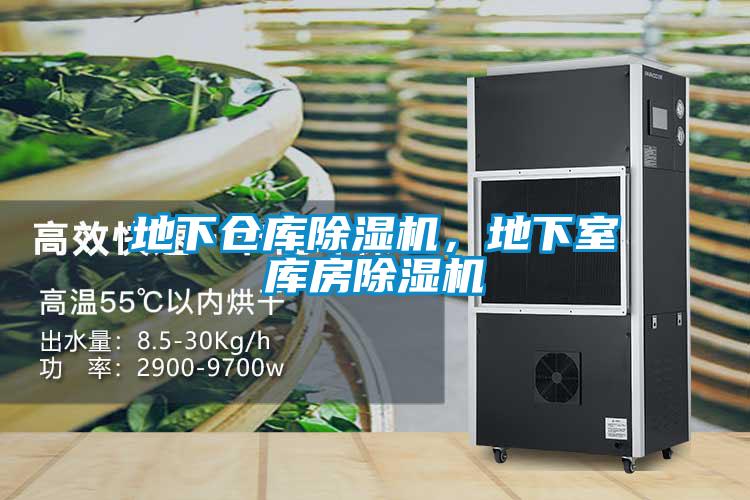 地下倉(cāng)庫(kù)除濕機(jī)，地下室?guī)旆砍凉駲C(jī)