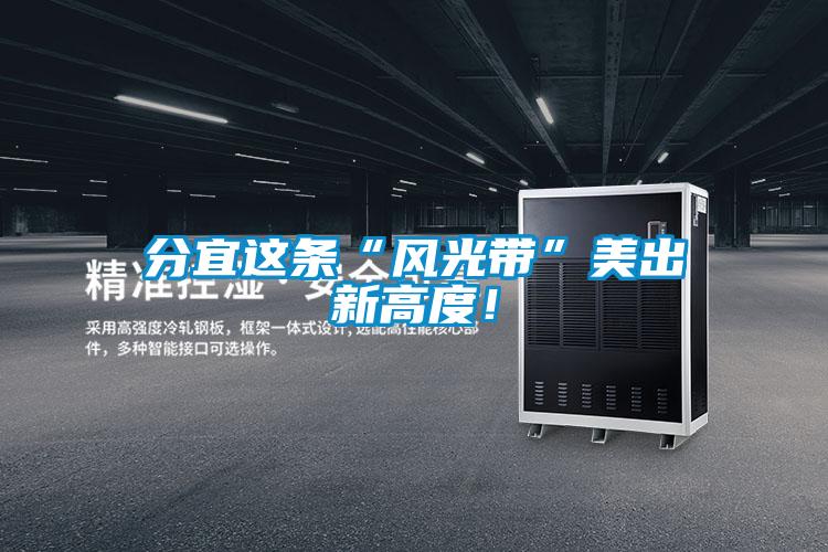 分宜這條“風光帶”美出新高度！