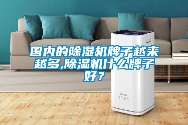 國(guó)內(nèi)的除濕機(jī)牌子越來越多,除濕機(jī)什么牌子好？