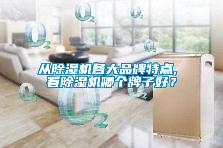 從除濕機各大品牌特點, 看除濕機哪個牌子好？