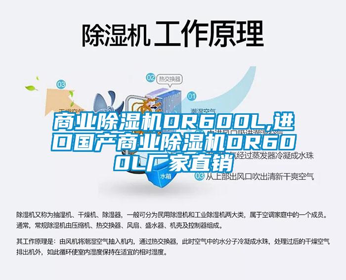 商業(yè)除濕機DR600L,進口國產商業(yè)除濕機DR600L廠家直銷