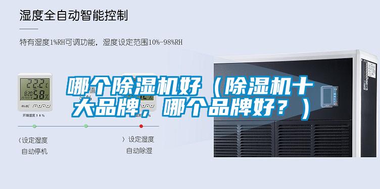 哪個(gè)除濕機(jī)好（除濕機(jī)十大品牌，哪個(gè)品牌好？）
