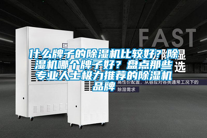 什么牌子的除濕機比較好？除濕機哪個牌子好？盤點那些專業人士極力推薦的除濕機品牌