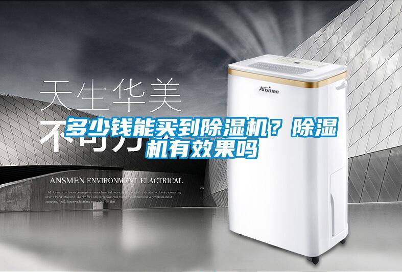 多少錢能買到除濕機？除濕機有效果嗎
