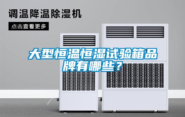 大型恒溫恒濕試驗箱品牌有哪些？