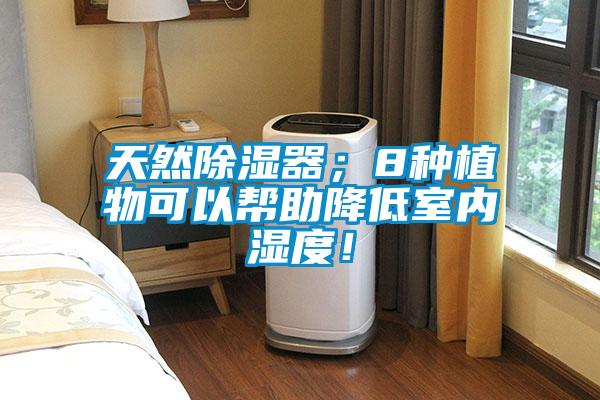 天然除濕器；8種植物可以幫助降低室內(nèi)濕度！