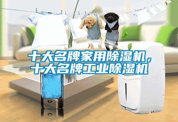 十大名牌家用除濕機，十大名牌工業除濕機