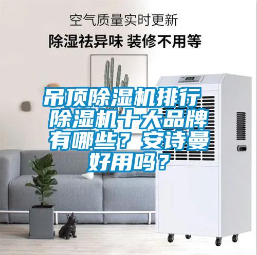 吊頂除濕機排行 除濕機十大品牌有哪些？安詩曼好用嗎？