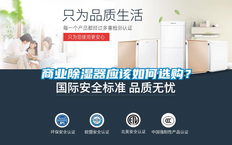 商業除濕器應該如何選購？