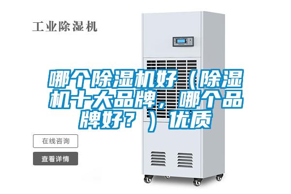 哪個除濕機好（除濕機十大品牌，哪個品牌好？）優質