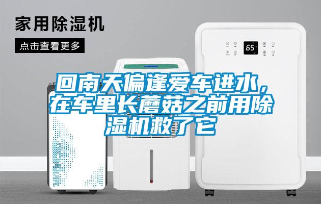 回南天偏逢愛車進水，在車里長蘑菇之前用除濕機救了它