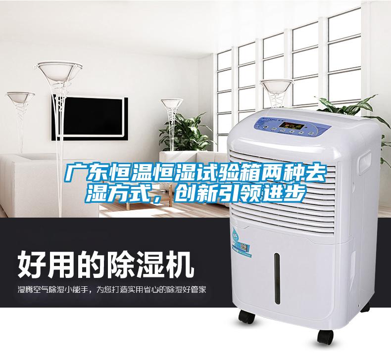 廣東恒溫恒濕試驗(yàn)箱兩種去濕方式，創(chuàng)新引領(lǐng)進(jìn)步
