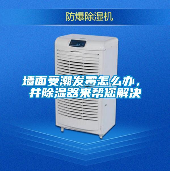 墻面受潮發(fā)霉怎么辦，東井除濕器來幫您解決